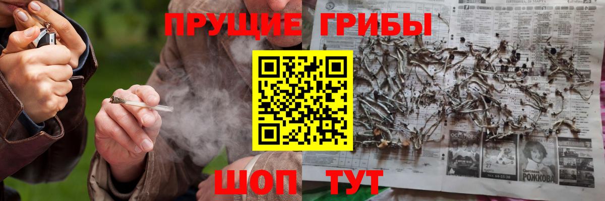 Мурманск  Псилоцибиновые грибы Psilocybe  где найти   Вход с VPN 